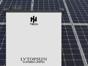 LVTS-512100-G2 Battery (Cable/Wall mount included)